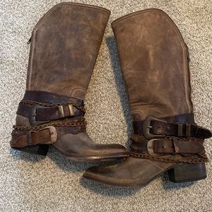 Freebird by Steven Knox